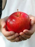 Fructe proaspete laFructe proaspete la scoala pentru elevii claselor pregatitoare, pe langa clasele I-VIII, pentru prevenire obezitate, diabet, cancer, afectiuni cardiovasculare, neurologice, etc. scoala pentru elevii claselor pregatitoare, pe langa clasele I-VIII, pentru prevenire obezitate, diabet, cancer, afectiuni cardiovasculare, etc.